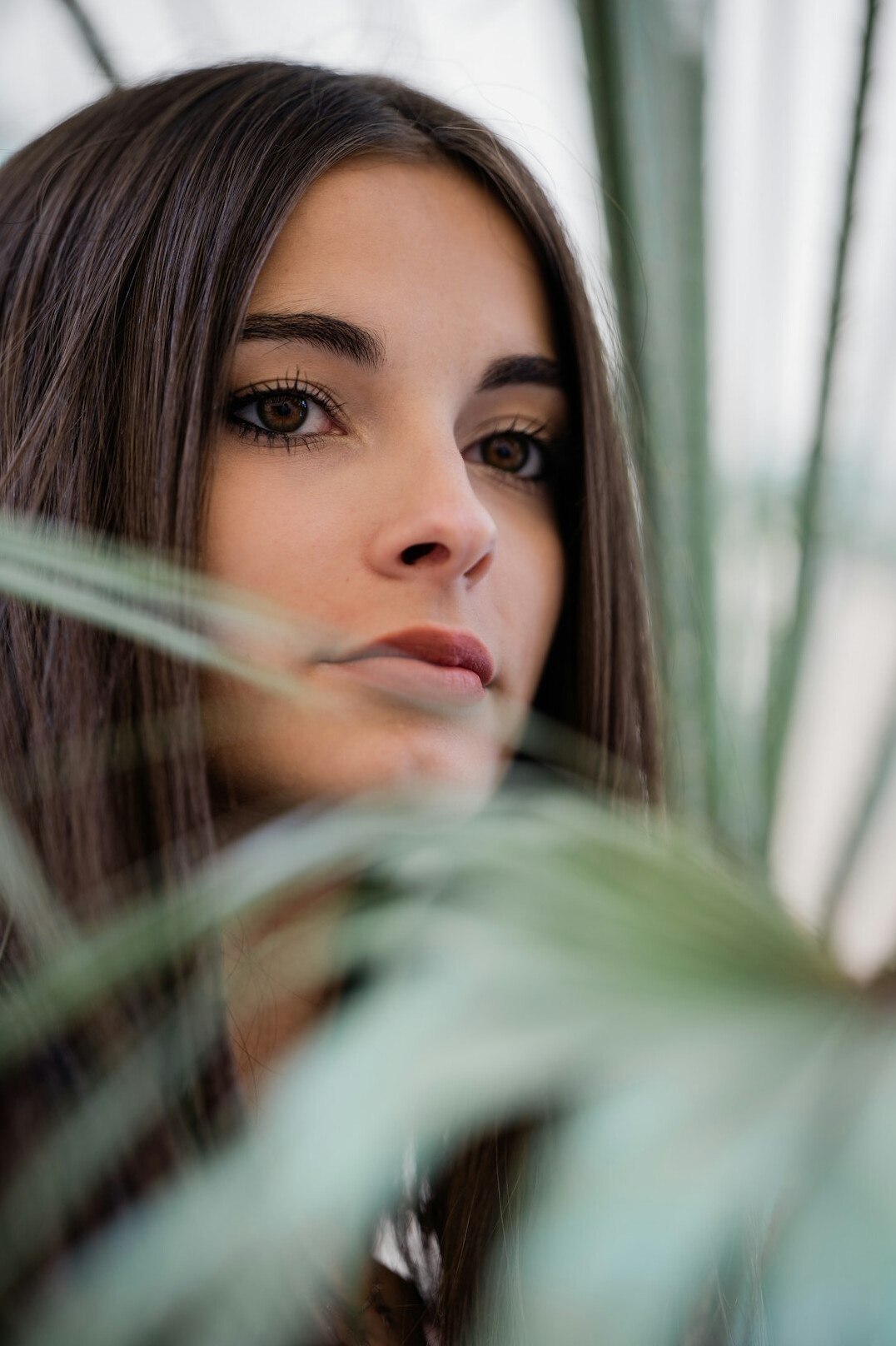 Portrait of a young woman with dark hair